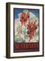 Australia Travel Poster Sturt's Desert Peas-null-Framed Giclee Print