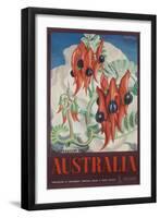 Australia Travel Poster Sturt's Desert Peas-null-Framed Giclee Print