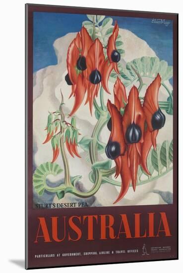 Australia Travel Poster Sturt's Desert Peas-null-Mounted Giclee Print