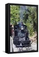 Australia, Victoria, Belgrave, Puffing Billy Steam Train-Walter Bibikow-Framed Stretched Canvas