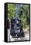 Australia, Victoria, Belgrave, Puffing Billy Steam Train-Walter Bibikow-Framed Stretched Canvas