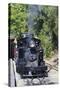 Australia, Victoria, Belgrave, Puffing Billy Steam Train-Walter Bibikow-Stretched Canvas