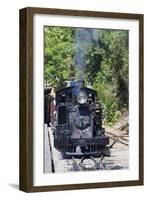 Australia, Victoria, Belgrave, Puffing Billy Steam Train-Walter Bibikow-Framed Photographic Print