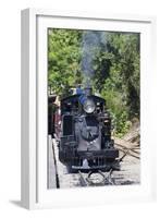 Australia, Victoria, Belgrave, Puffing Billy Steam Train-Walter Bibikow-Framed Photographic Print