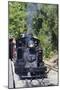 Australia, Victoria, Belgrave, Puffing Billy Steam Train-Walter Bibikow-Mounted Photographic Print
