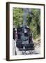 Australia, Victoria, Belgrave, Puffing Billy Steam Train-Walter Bibikow-Framed Photographic Print