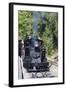 Australia, Victoria, Belgrave, Puffing Billy Steam Train-Walter Bibikow-Framed Photographic Print