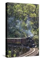 Australia, Victoria, Belgrave, Puffing Billy Steam Train-Walter Bibikow-Stretched Canvas