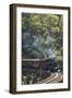 Australia, Victoria, Belgrave, Puffing Billy Steam Train-Walter Bibikow-Framed Photographic Print