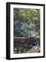 Australia, Victoria, Belgrave, Puffing Billy Steam Train-Walter Bibikow-Framed Photographic Print