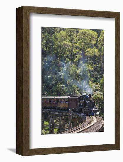 Australia, Victoria, Belgrave, Puffing Billy Steam Train-Walter Bibikow-Framed Photographic Print