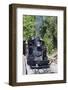 Australia, Victoria, Belgrave, Puffing Billy Steam Train-Walter Bibikow-Framed Photographic Print