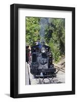 Australia, Victoria, Belgrave, Puffing Billy Steam Train-Walter Bibikow-Framed Photographic Print