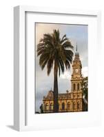 Australia, Victoria, Bendigo, Town Hall Tower, Late Afternoon-Walter Bibikow-Framed Photographic Print