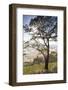 Australia, Victoria, Buninyong, Landscape from Mount Buninyong-Walter Bibikow-Framed Photographic Print