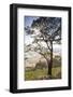 Australia, Victoria, Buninyong, Landscape from Mount Buninyong-Walter Bibikow-Framed Photographic Print