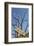 Australia, Victoria, Dixons Creek, Sign for the Melba Highway-Walter Bibikow-Framed Photographic Print