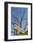 Australia, Victoria, Dixons Creek, Sign for the Melba Highway-Walter Bibikow-Framed Photographic Print