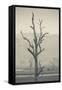 Australia, Victoria, Huon, Lake Hume with Forest Fire Smoke-Walter Bibikow-Framed Stretched Canvas