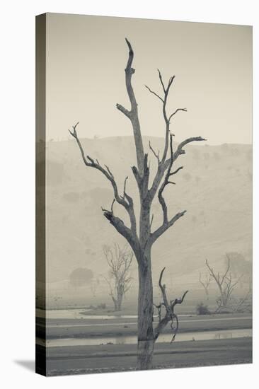 Australia, Victoria, Huon, Lake Hume with Forest Fire Smoke-Walter Bibikow-Stretched Canvas