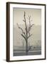 Australia, Victoria, Huon, Lake Hume with Forest Fire Smoke-Walter Bibikow-Framed Photographic Print