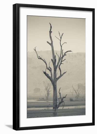 Australia, Victoria, Huon, Lake Hume with Forest Fire Smoke-Walter Bibikow-Framed Photographic Print