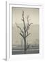 Australia, Victoria, Huon, Lake Hume with Forest Fire Smoke-Walter Bibikow-Framed Photographic Print