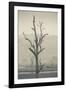 Australia, Victoria, Huon, Lake Hume with Forest Fire Smoke-Walter Bibikow-Framed Photographic Print