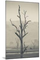 Australia, Victoria, Huon, Lake Hume with Forest Fire Smoke-Walter Bibikow-Mounted Photographic Print