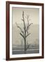 Australia, Victoria, Huon, Lake Hume with Forest Fire Smoke-Walter Bibikow-Framed Photographic Print