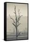 Australia, Victoria, Huon, Lake Hume with Forest Fire Smoke-Walter Bibikow-Framed Stretched Canvas