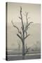 Australia, Victoria, Huon, Lake Hume with Forest Fire Smoke-Walter Bibikow-Stretched Canvas