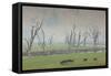 Australia, Victoria, Huon, Lake Hume with Forest Fire Smoke-Walter Bibikow-Framed Stretched Canvas