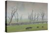 Australia, Victoria, Huon, Lake Hume with Forest Fire Smoke-Walter Bibikow-Stretched Canvas