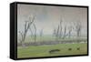 Australia, Victoria, Huon, Lake Hume with Forest Fire Smoke-Walter Bibikow-Framed Stretched Canvas