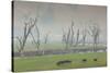 Australia, Victoria, Huon, Lake Hume with Forest Fire Smoke-Walter Bibikow-Stretched Canvas