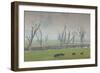 Australia, Victoria, Huon, Lake Hume with Forest Fire Smoke-Walter Bibikow-Framed Photographic Print