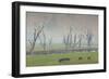 Australia, Victoria, Huon, Lake Hume with Forest Fire Smoke-Walter Bibikow-Framed Photographic Print