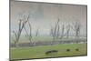 Australia, Victoria, Huon, Lake Hume with Forest Fire Smoke-Walter Bibikow-Mounted Photographic Print