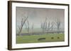 Australia, Victoria, Huon, Lake Hume with Forest Fire Smoke-Walter Bibikow-Framed Photographic Print