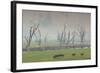 Australia, Victoria, Huon, Lake Hume with Forest Fire Smoke-Walter Bibikow-Framed Photographic Print