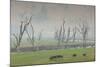 Australia, Victoria, Huon, Lake Hume with Forest Fire Smoke-Walter Bibikow-Mounted Photographic Print