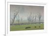 Australia, Victoria, Huon, Lake Hume with Forest Fire Smoke-Walter Bibikow-Framed Photographic Print