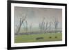 Australia, Victoria, Huon, Lake Hume with Forest Fire Smoke-Walter Bibikow-Framed Photographic Print