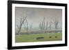 Australia, Victoria, Huon, Lake Hume with Forest Fire Smoke-Walter Bibikow-Framed Photographic Print