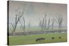 Australia, Victoria, Huon, Lake Hume with Forest Fire Smoke-Walter Bibikow-Stretched Canvas