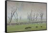 Australia, Victoria, Huon, Lake Hume with Forest Fire Smoke-Walter Bibikow-Framed Stretched Canvas