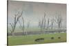 Australia, Victoria, Huon, Lake Hume with Forest Fire Smoke-Walter Bibikow-Stretched Canvas