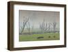 Australia, Victoria, Huon, Lake Hume with Forest Fire Smoke-Walter Bibikow-Framed Photographic Print