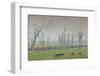 Australia, Victoria, Huon, Lake Hume with Forest Fire Smoke-Walter Bibikow-Framed Photographic Print